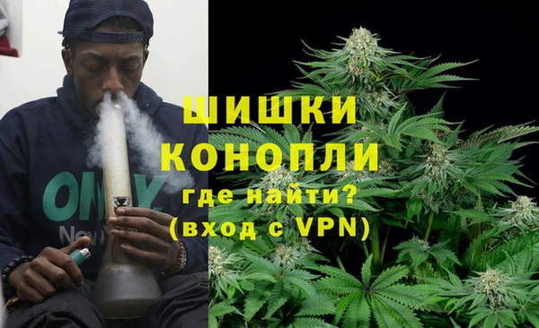 дмт Белокуриха
