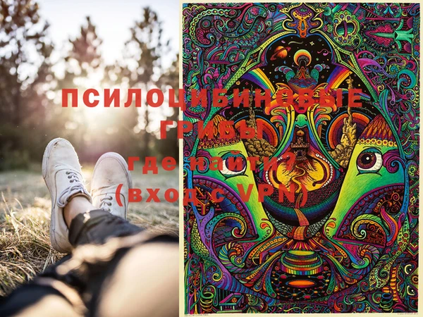 ГАЛЛЮЦИНОГЕННЫЕ ГРИБЫ Бугульма