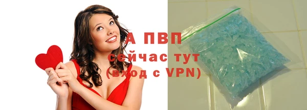 экстази Бородино