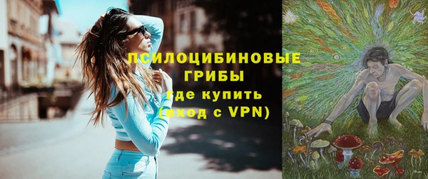ГАЛЛЮЦИНОГЕННЫЕ ГРИБЫ Бугульма